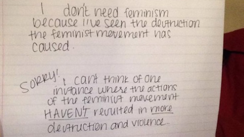 Illustration for article titled Things I Learned from #WomenAgainstFeminism